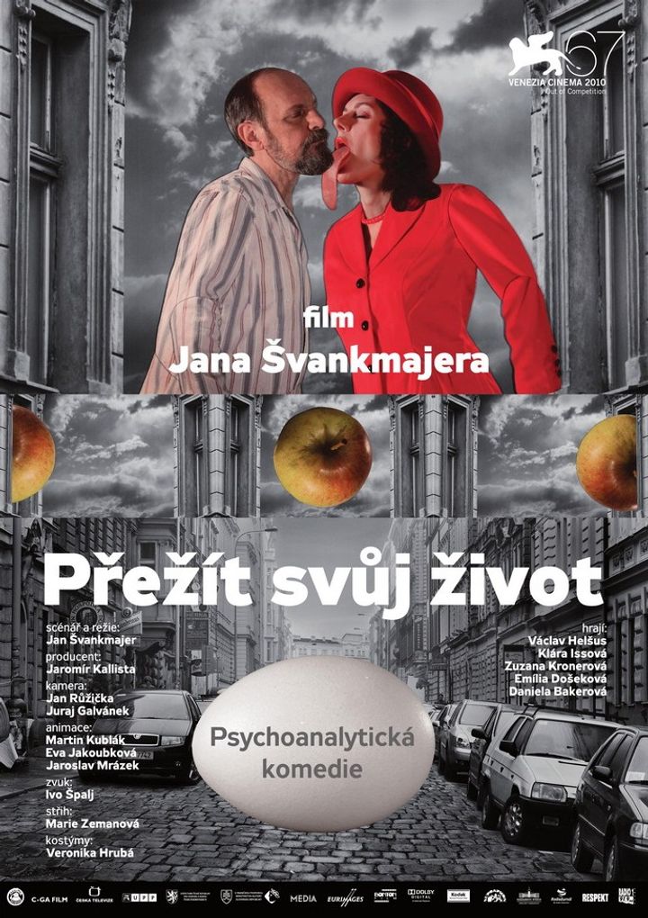 Prezít Svuj Zivot (teorie A Praxe) (2010) Poster