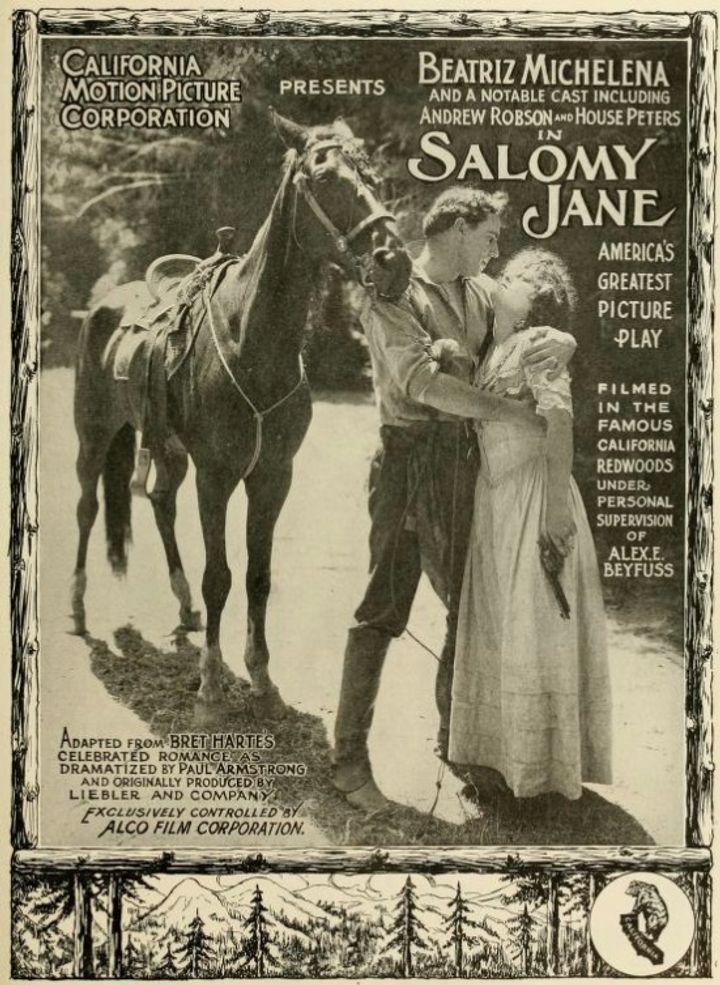 Salomy Jane (1914) Poster