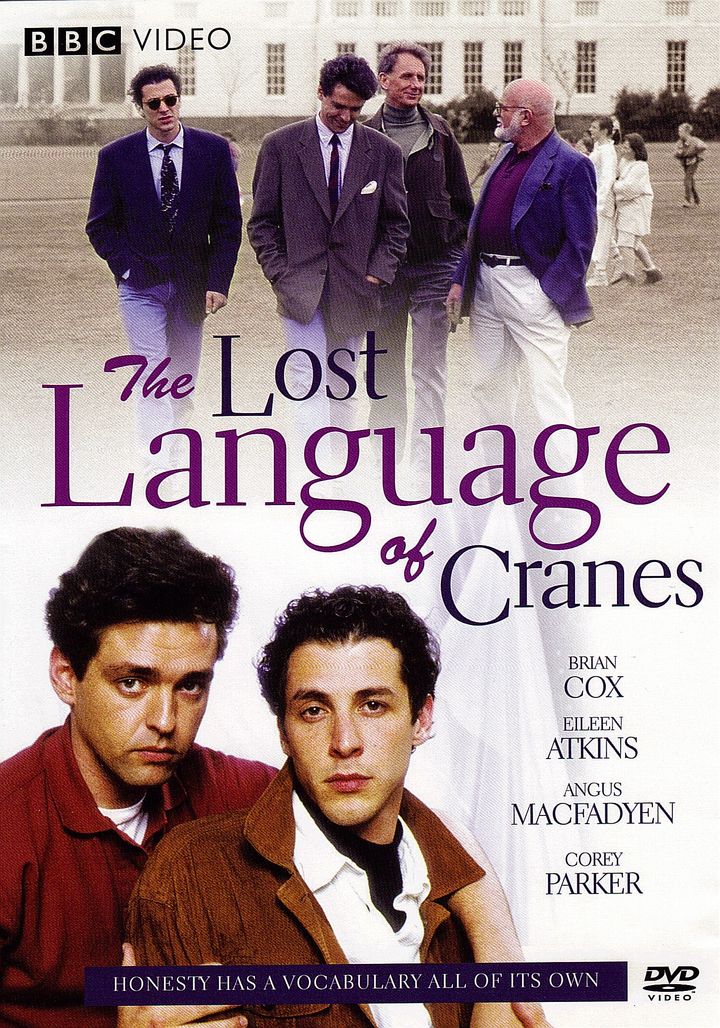 The Lost Language Of Cranes (1991) Poster