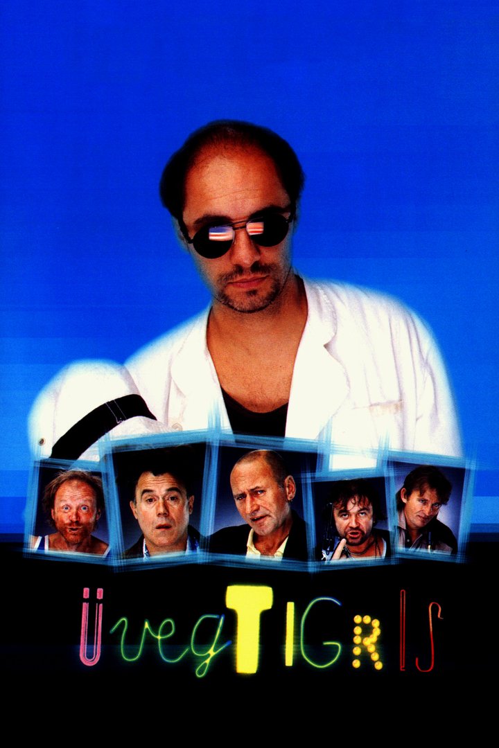 Üvegtigris (2001) Poster