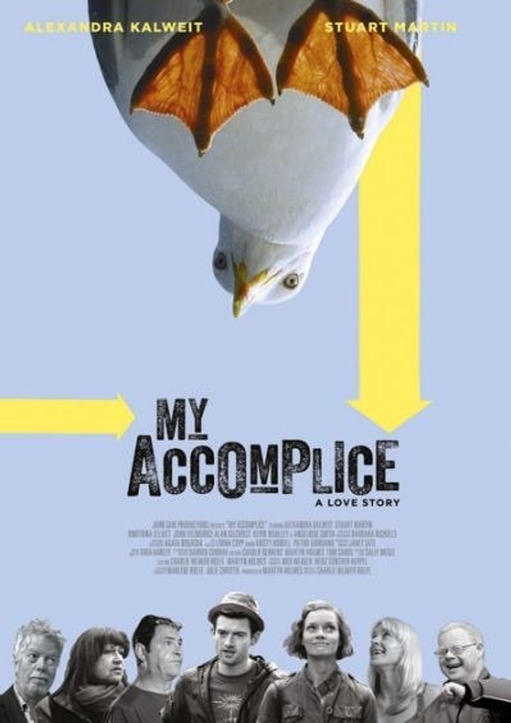 My Accomplice (2014) Poster