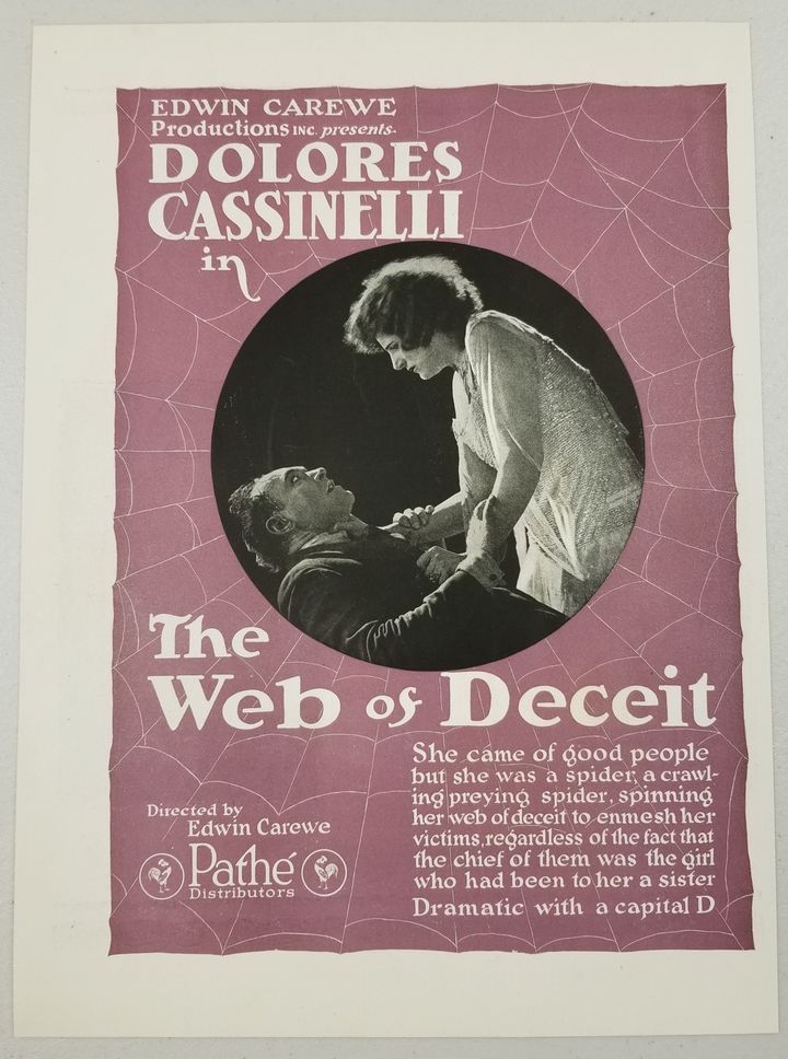 The Web Of Deceit (1920) Poster