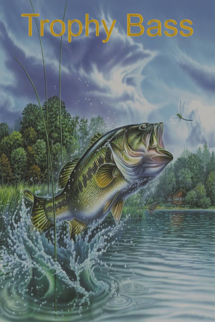 Trophy Bass Poster