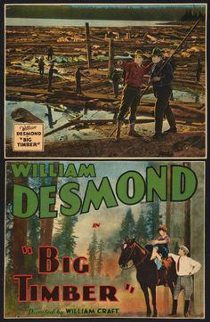 Big Timber (1924) Poster