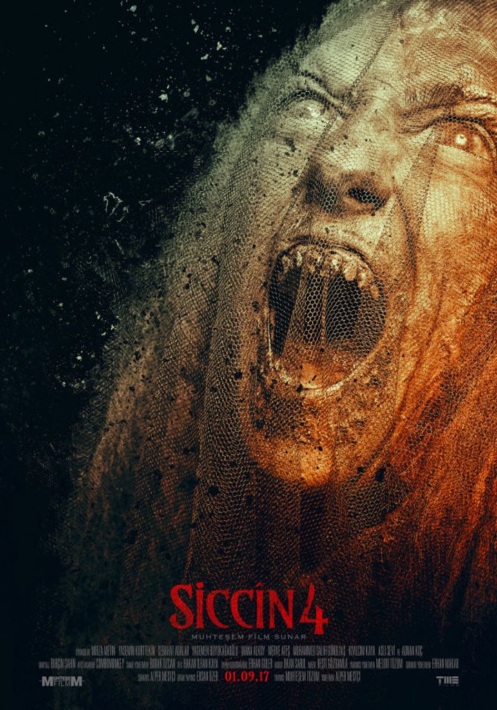 Siccin 4 (2017) Poster