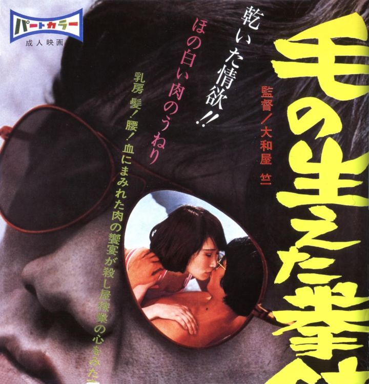 Ke No Haeta Kenjû (1968) Poster