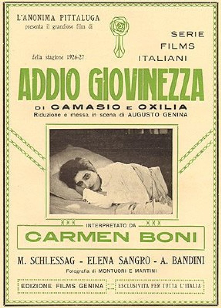 Addio Giovinezza! (1927) Poster