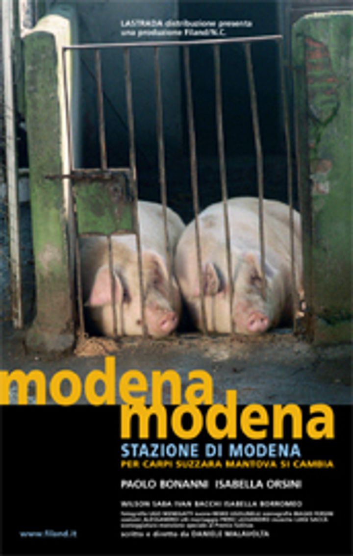 Modena Modena Stazione Di Modena, Per Carpi Suzzara Mantova Si Cambia (2003) Poster