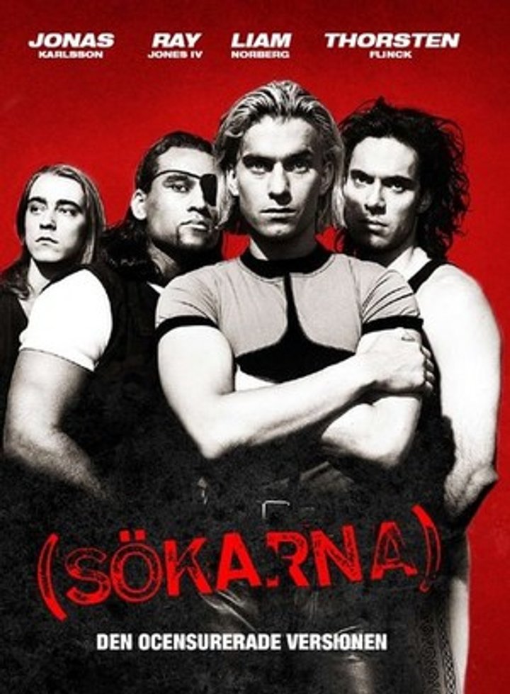 (sökarna) (1993) Poster