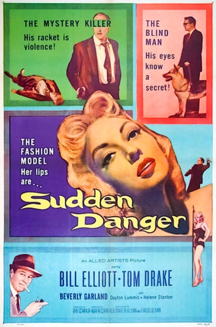 Sudden Danger (1955) Poster