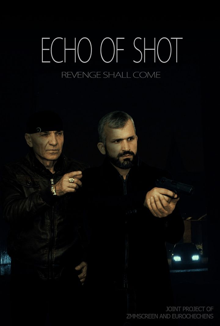 Echo Of Shot (2017) Poster