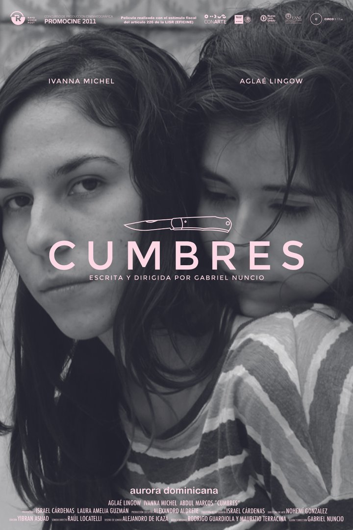 Cumbres (2013) Poster