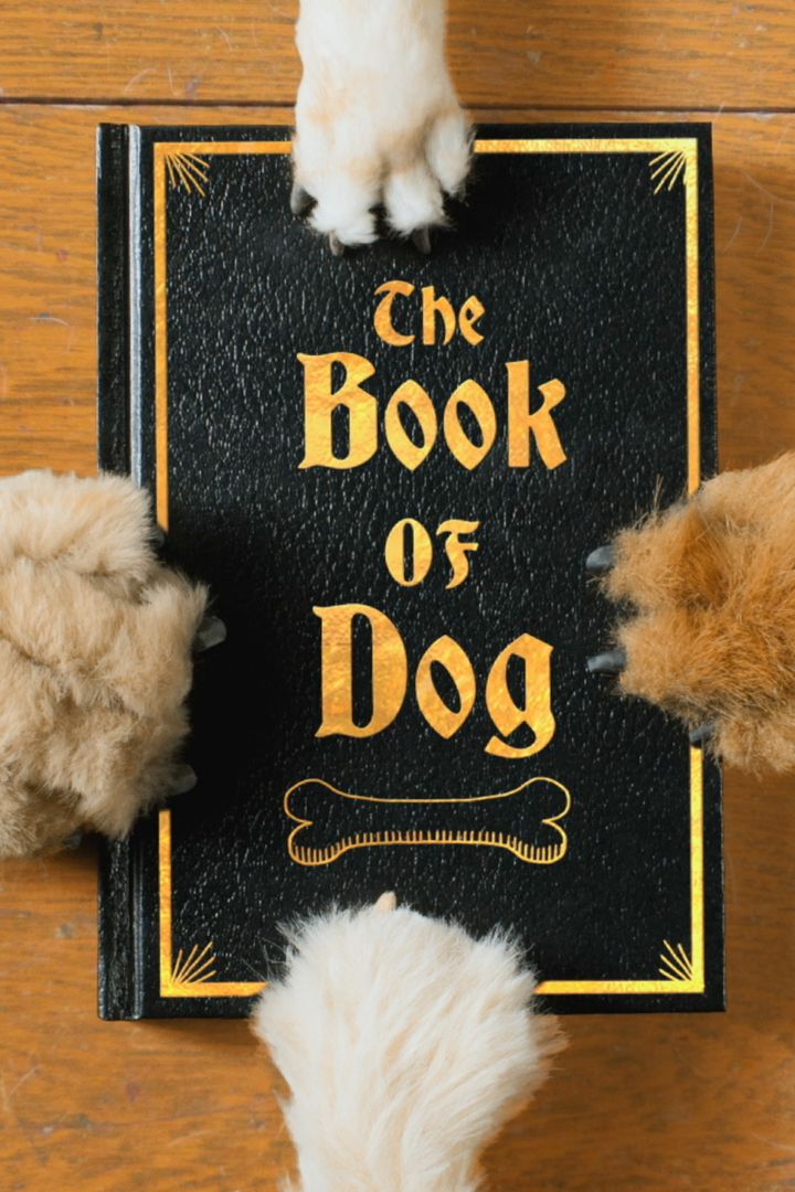 The Book Of Dog (2018) Poster