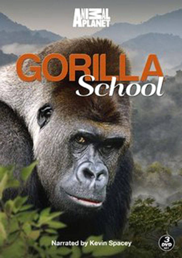 Gorilla School (2010) Poster