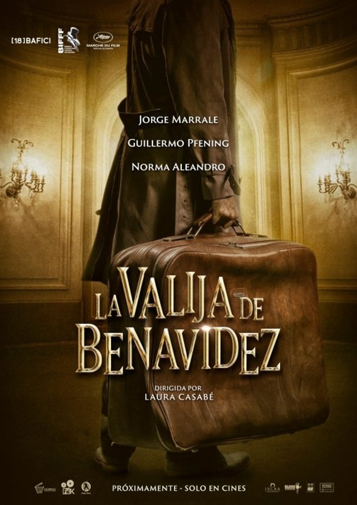 La Valija De Benavídez (2016) Poster