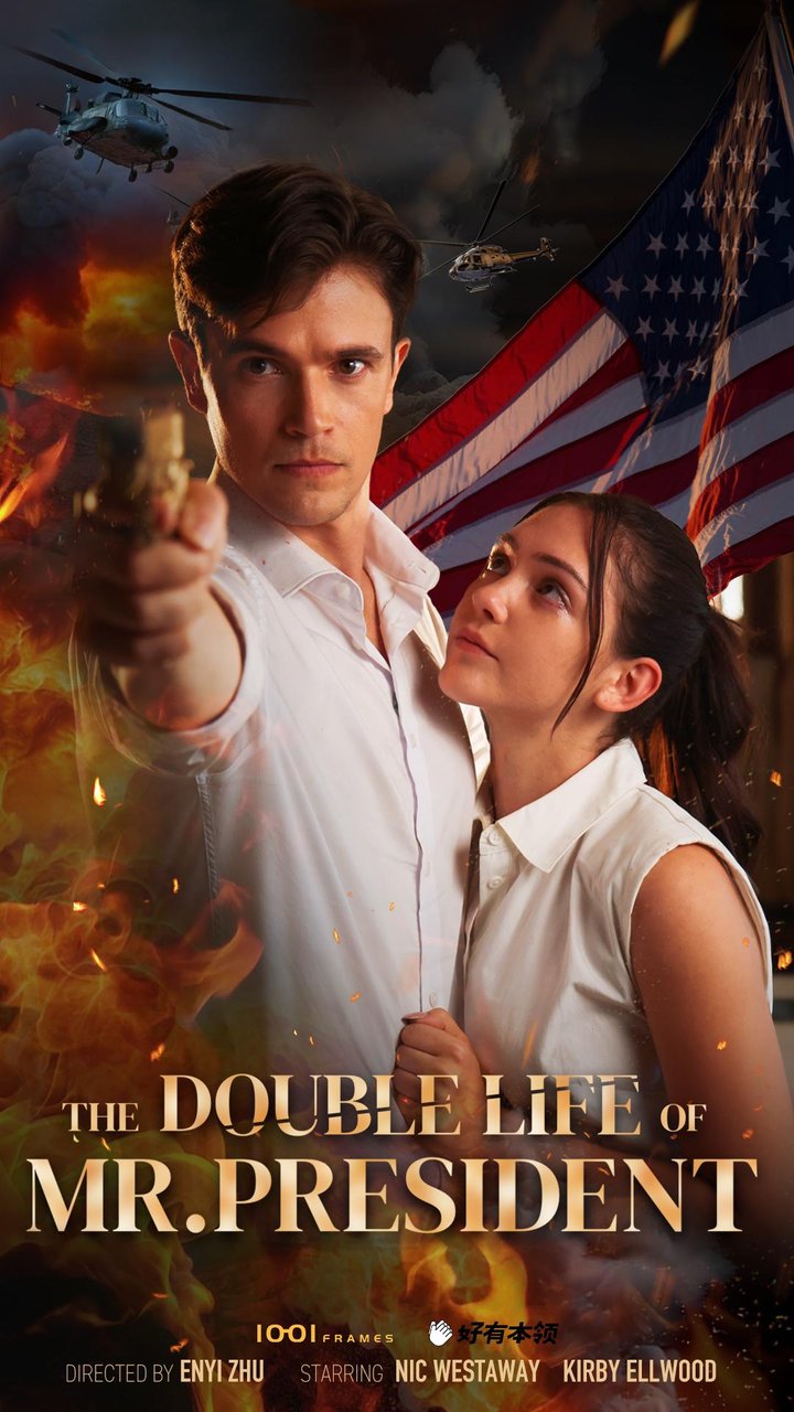 The Double Life Of Mr. President (2024) Poster