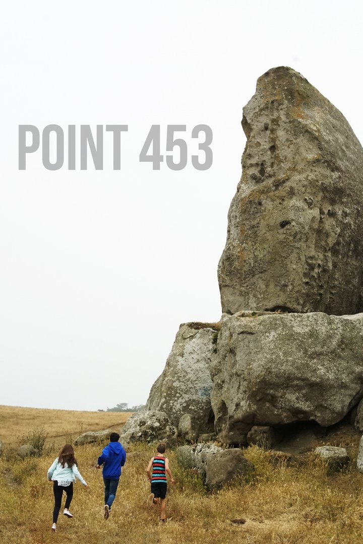 Point 453 (2020) Poster