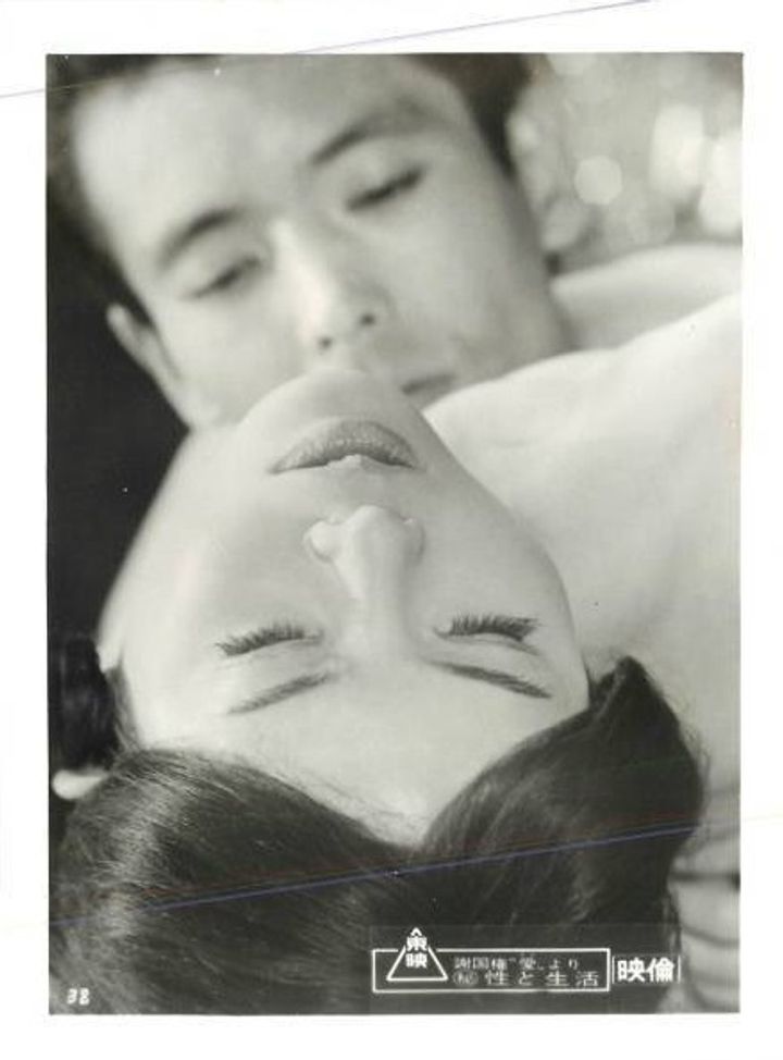 Maruhi Sei To Seikatsu (1969) Poster