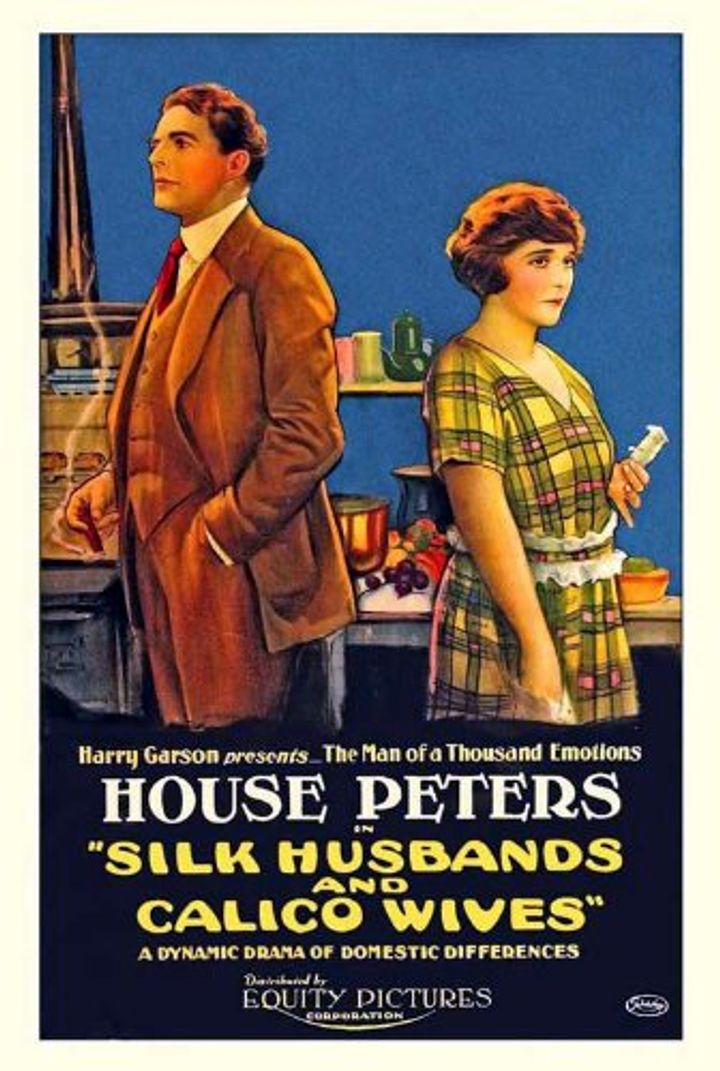 Silk Husbands And Calico Wives (1920) Poster