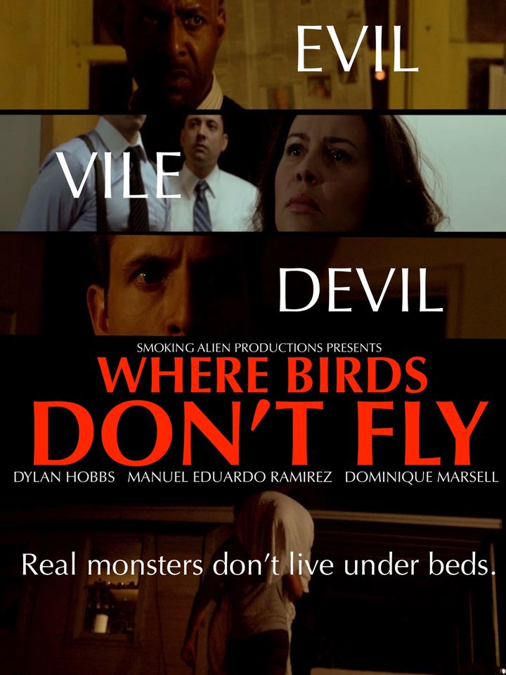 Where Birds Don't Fly (2017) Poster