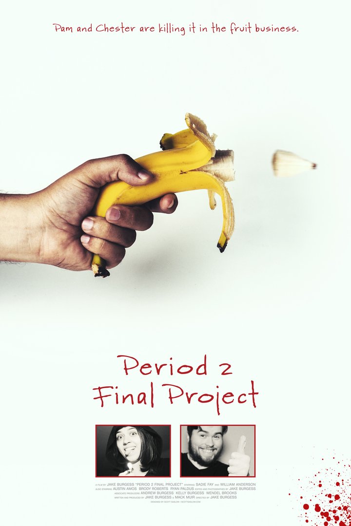 Period 2 Final Project (2019) Poster