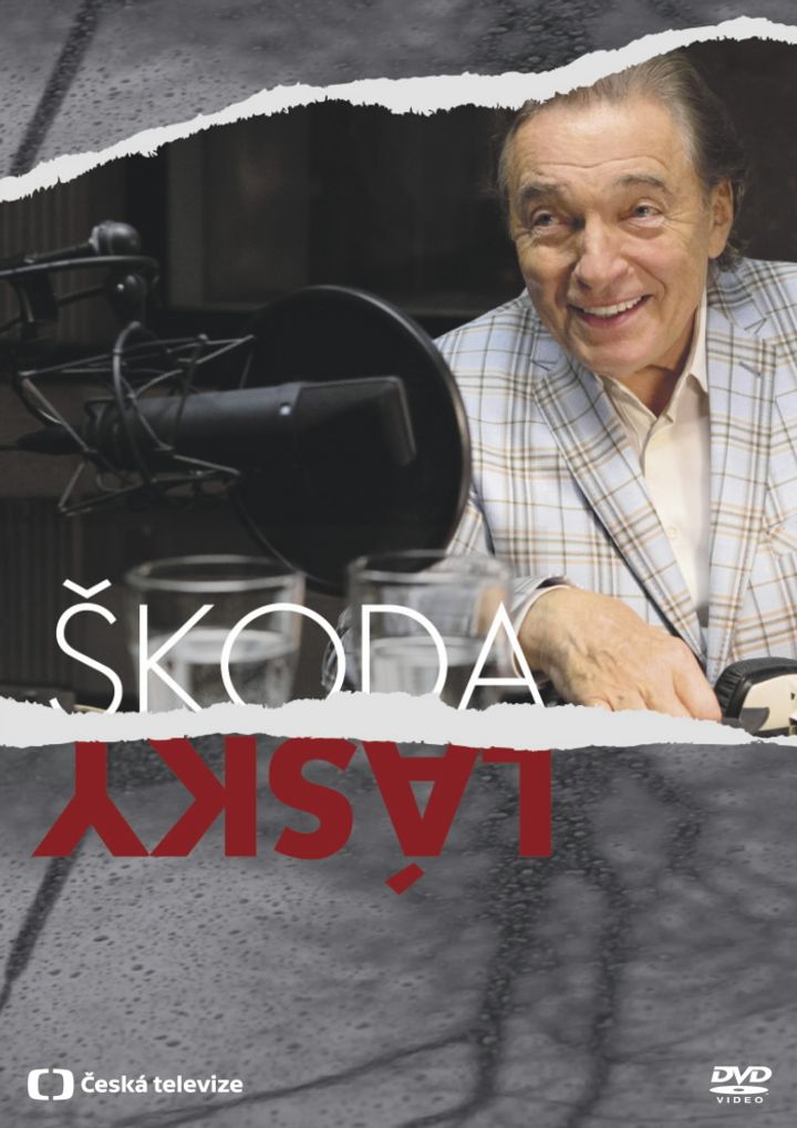 Skoda Lásky (2013) Poster