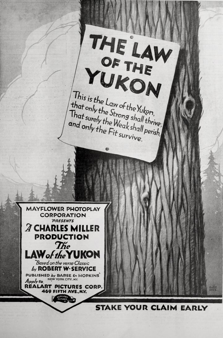 The Law Of The Yukon (1920) Poster