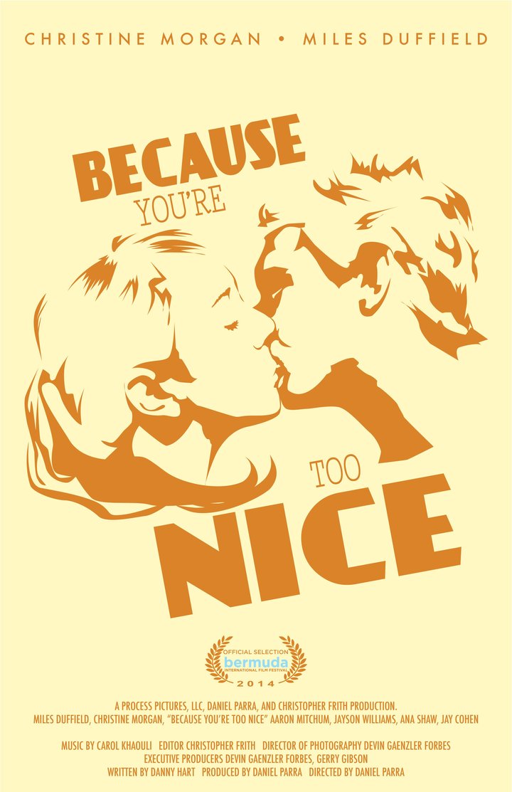 Because You're Too Nice (2012) Poster