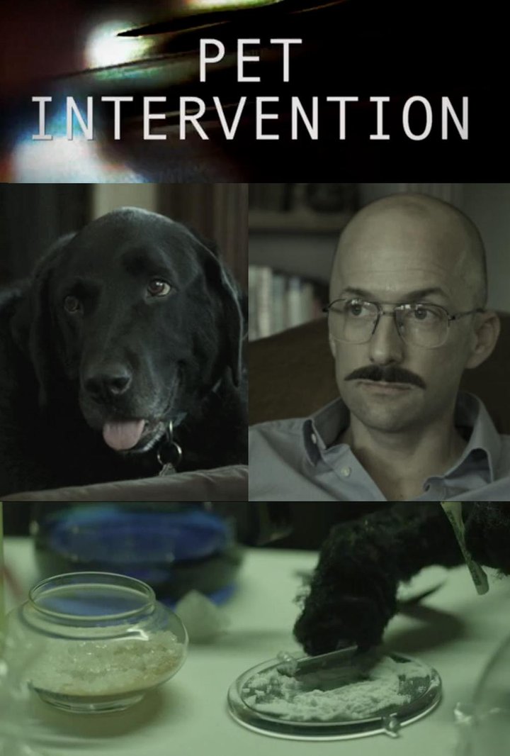 Pet Intervention (2013) Poster