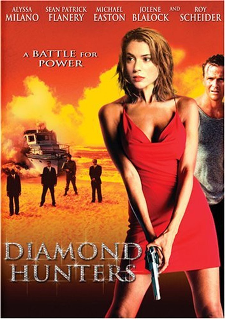 The Diamond Hunters (2001) Poster