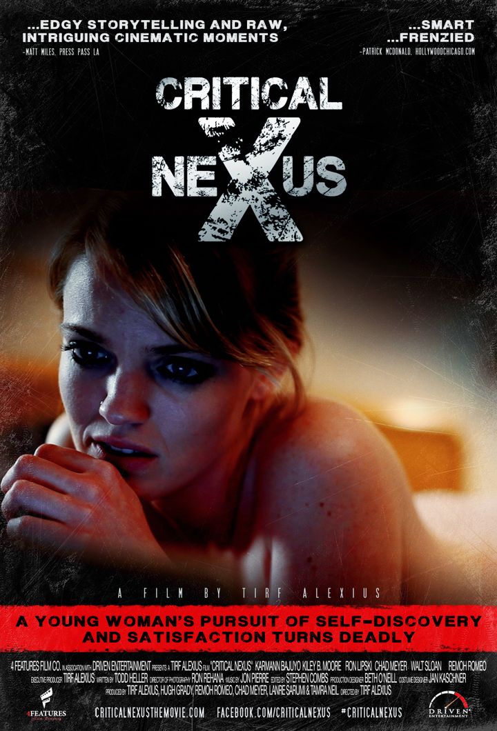 Critical Nexus (2013) Poster