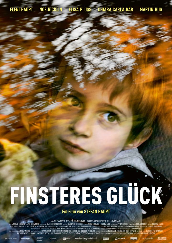 Finsteres Glück (2016) Poster