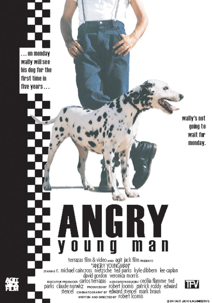 Angry Young Man (2003) Poster