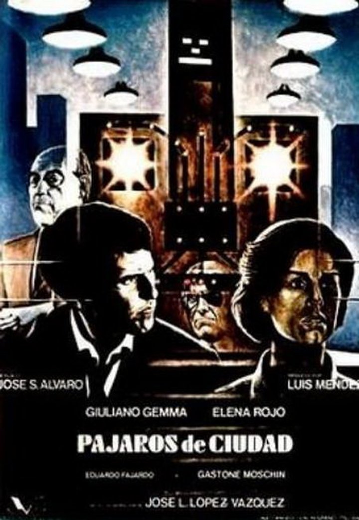 Pájaros De Ciudad (1981) Poster