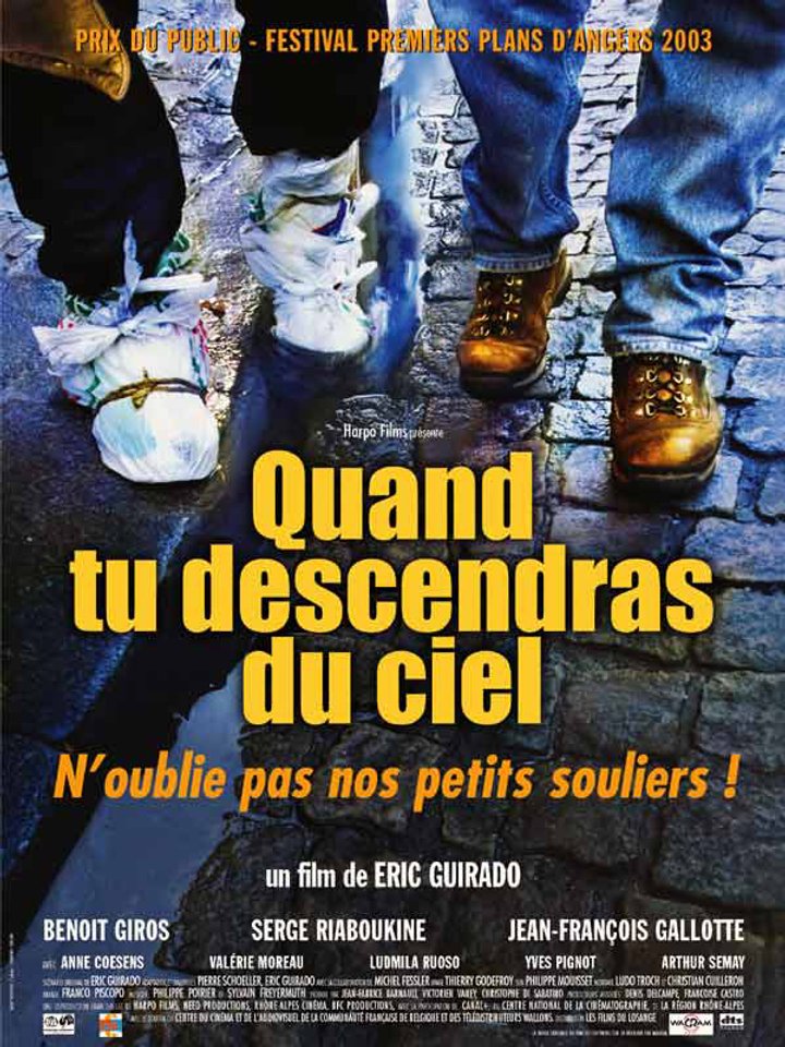 Quand Tu Descendras Du Ciel (2003) Poster