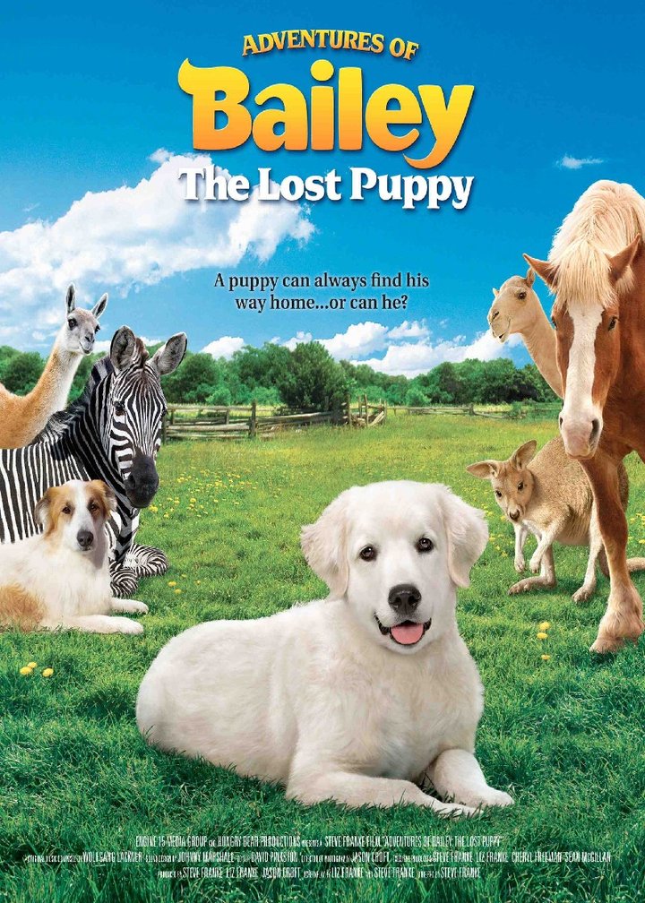 Adventures Of Bailey: The Lost Puppy (2010) Poster