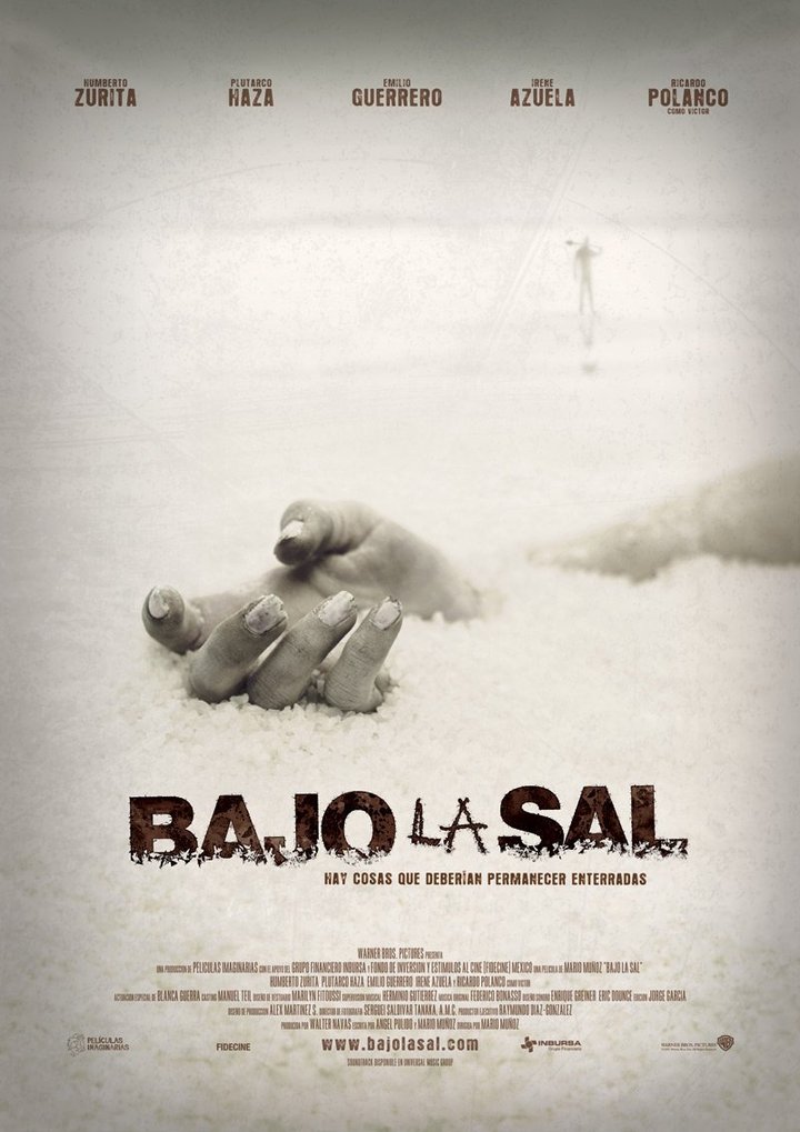 Bajo La Sal (2008) Poster