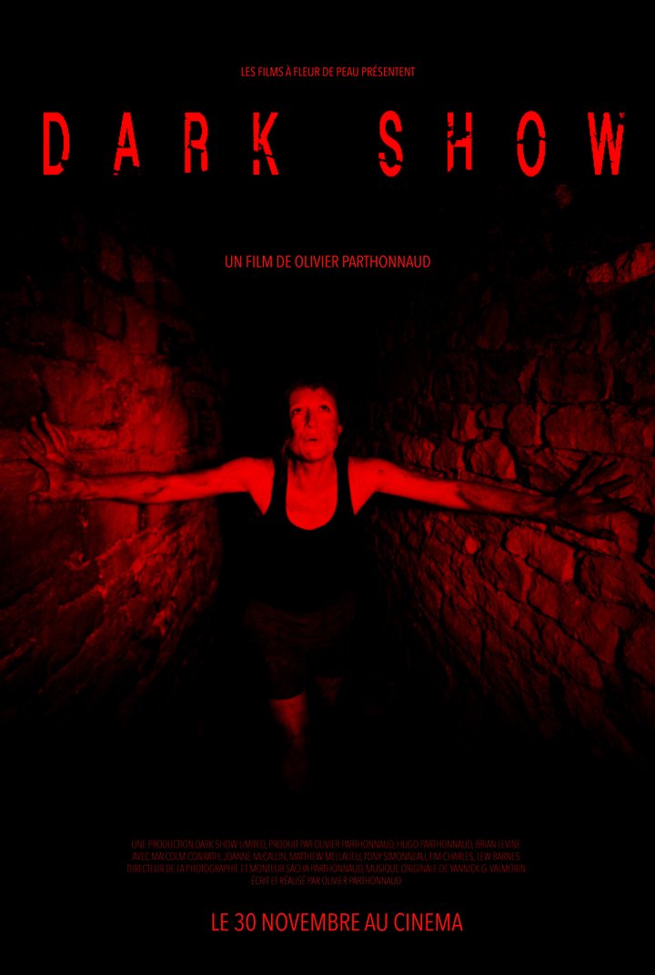 Dark Show (2016) Poster