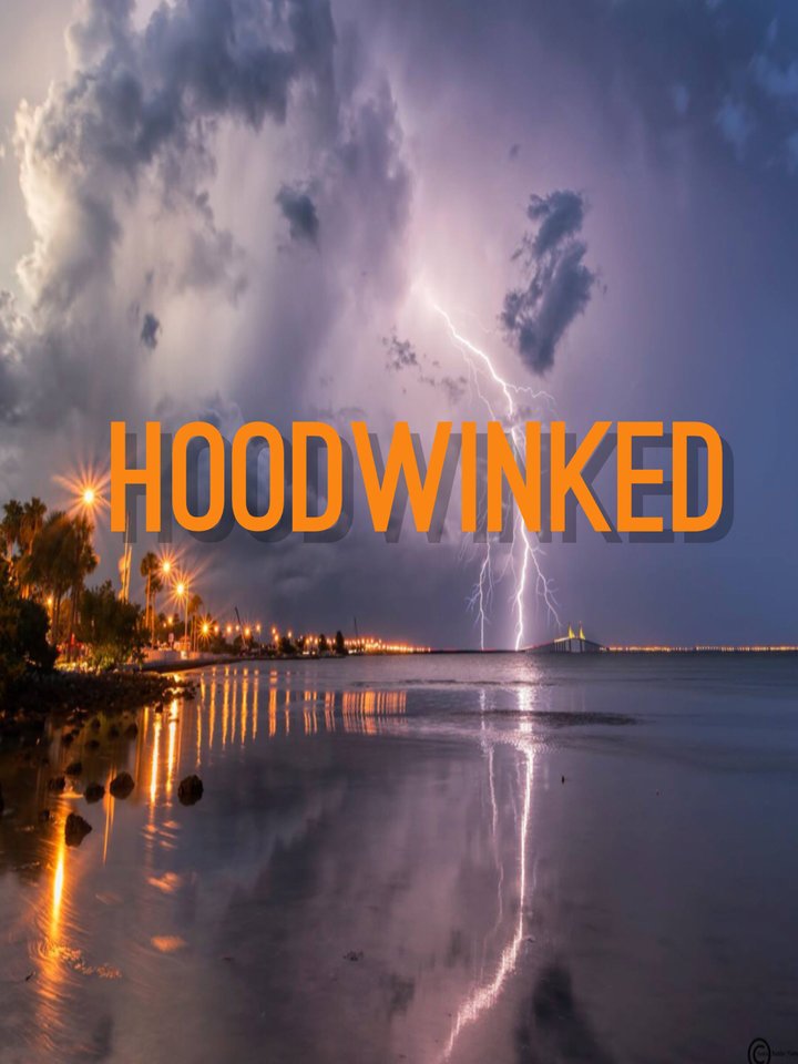 Hoodwinked Poster