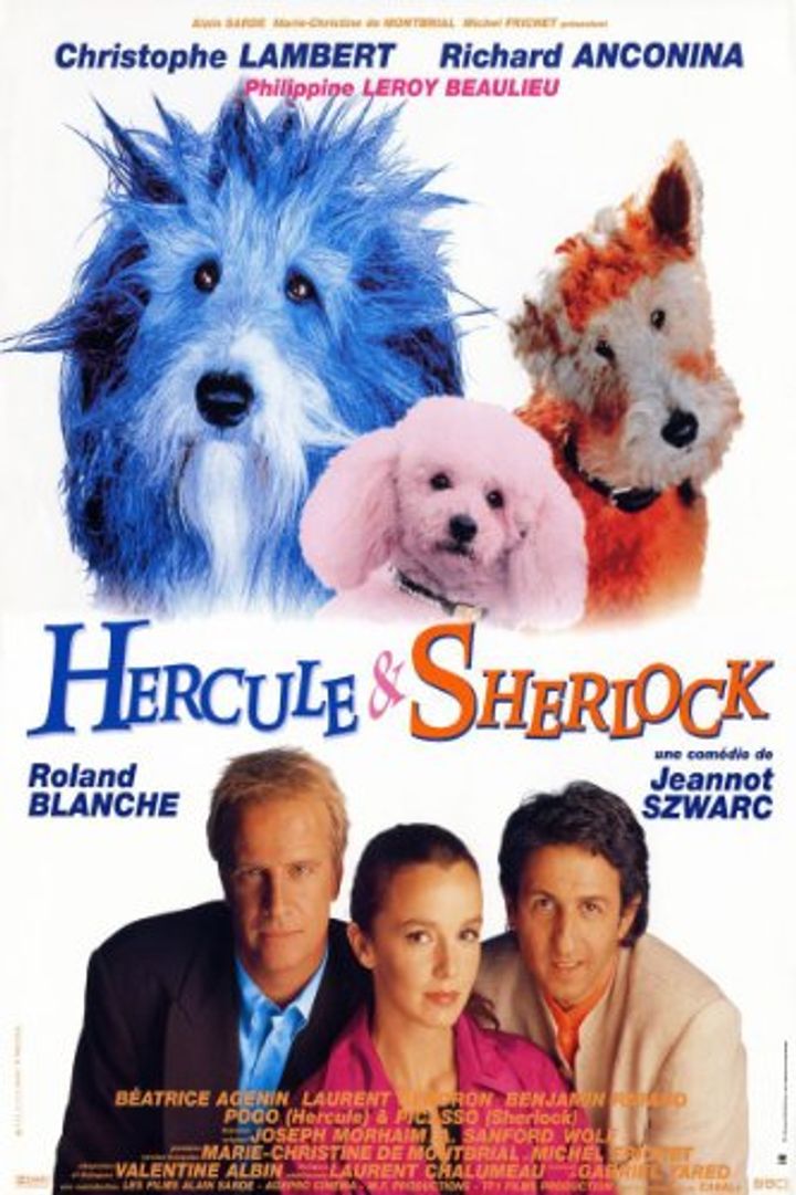 Hercule & Sherlock (1996) Poster