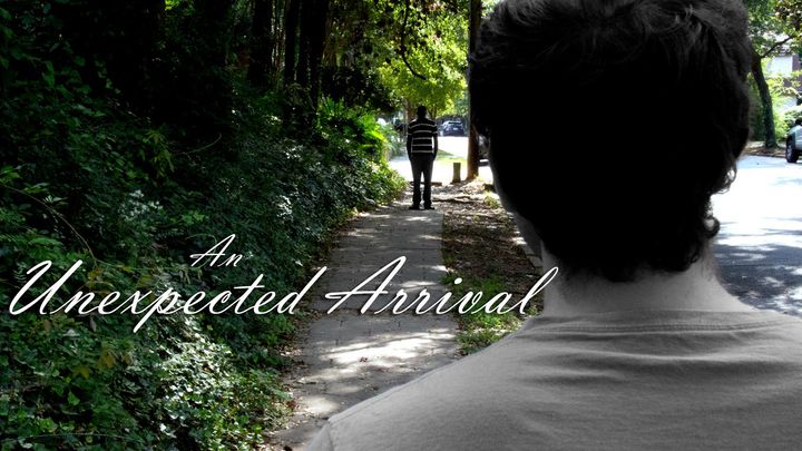 Unexpected Arrival (2017) Poster