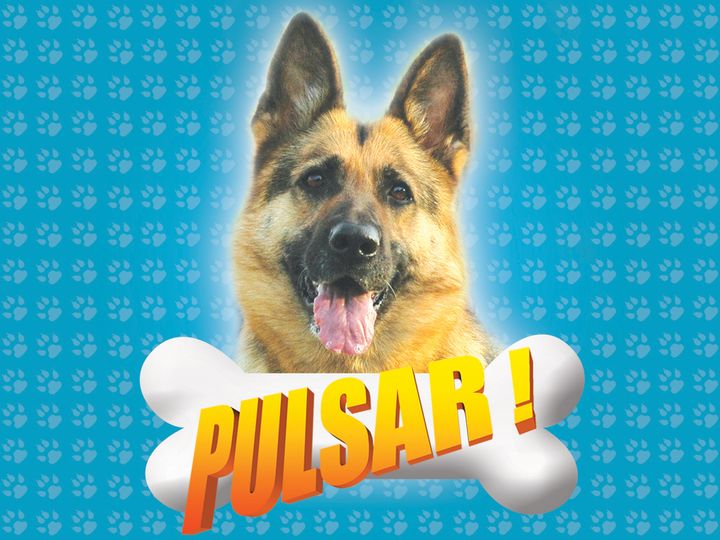 Pulsar (2008) Poster