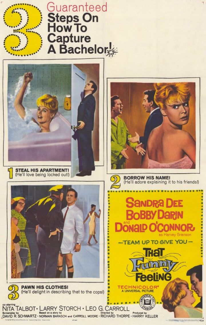 That Funny Feeling (1965) Poster