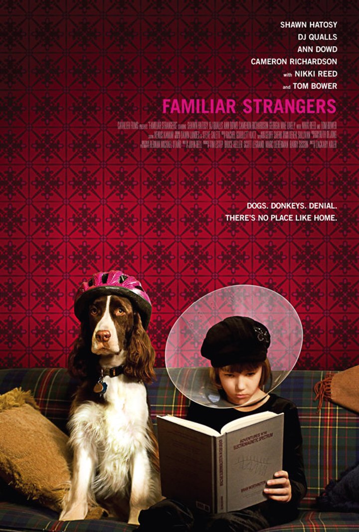 Familiar Strangers (2008) Poster