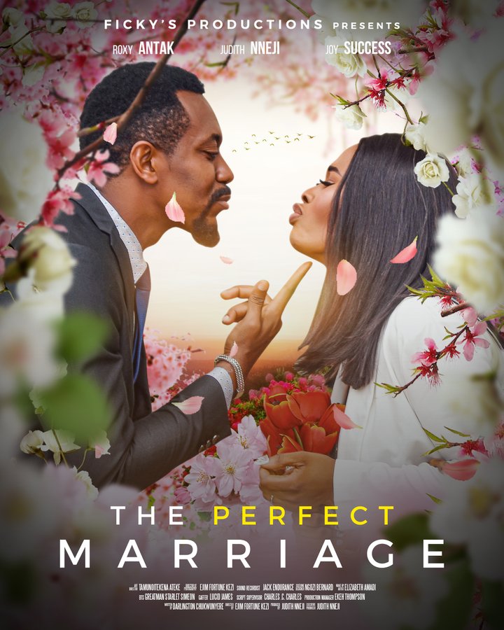 The Perfect Marriage (2022) Poster