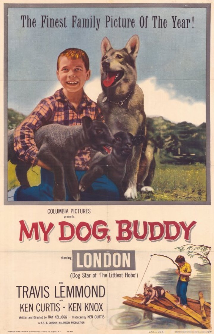 My Dog Buddy (1960) Poster