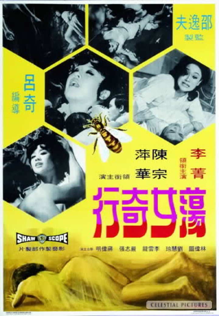 Dang Nu Ji Hang (1973) Poster