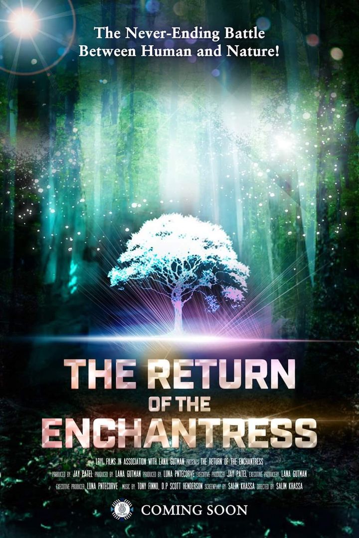 The Return Of The Enchantress Poster