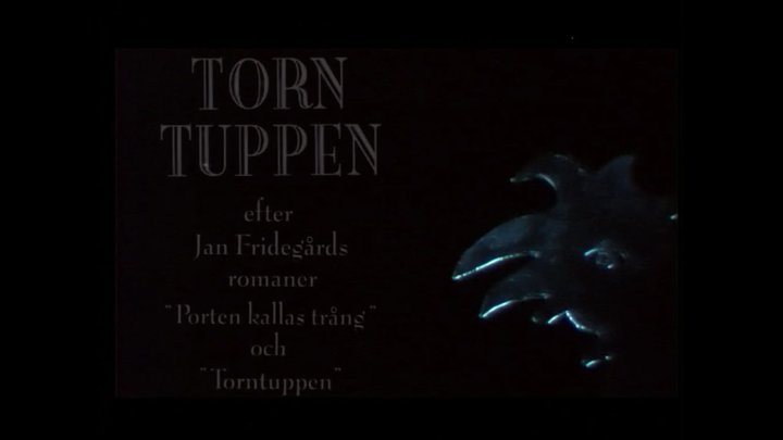 Torntuppen (1996) Poster