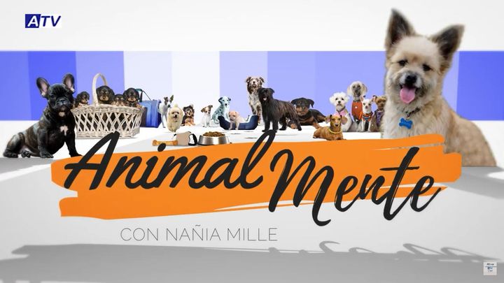 Animalmente (con Nañia Mille) (2022) Poster